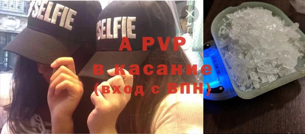 ECSTASY Богородск