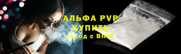 гашиш Богданович