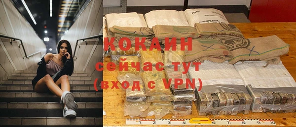 гашиш Богданович