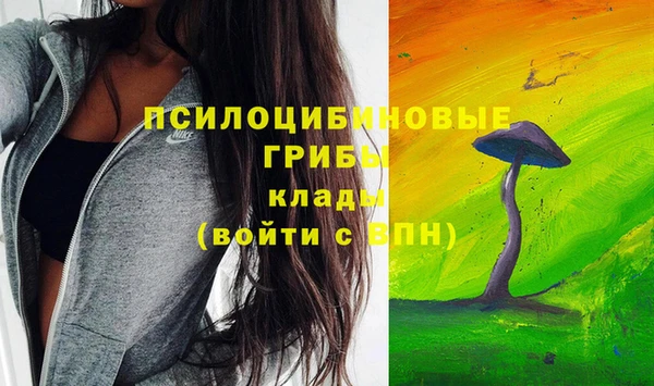 круглые Богородицк
