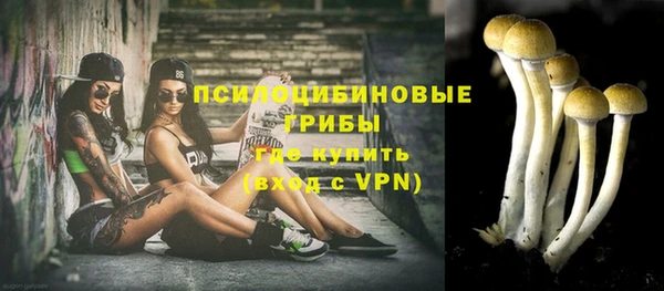 ECSTASY Богородск