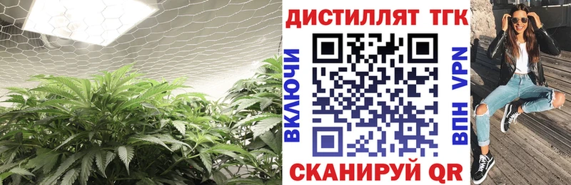 ТГК гашишное масло  сколько стоит  Невель 
